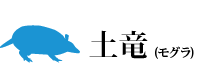 土竜(モグラ)